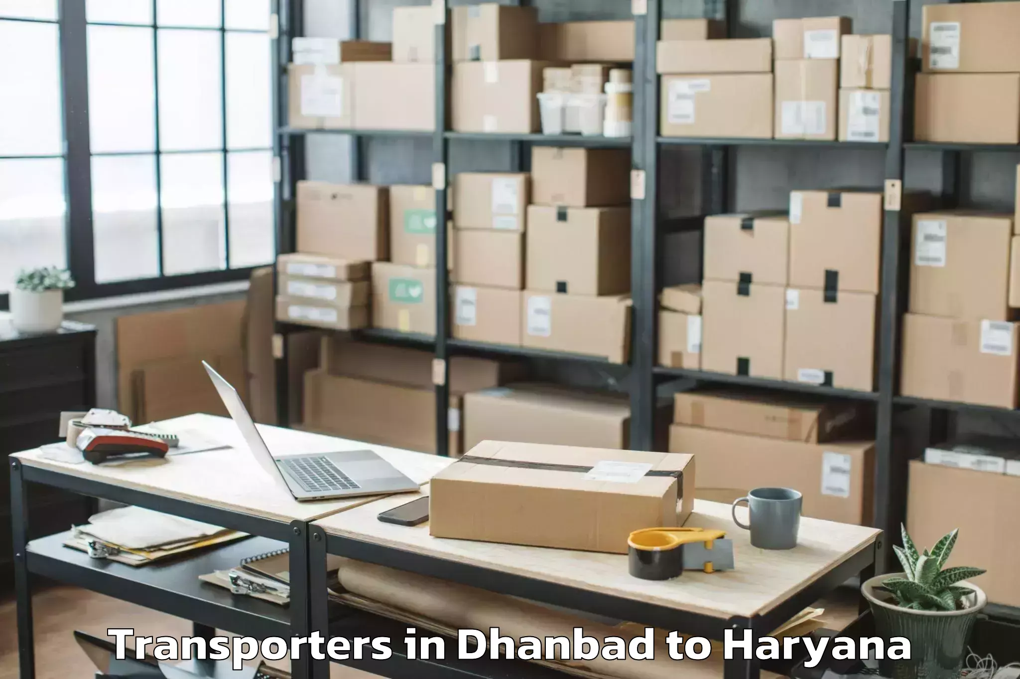 Top Dhanbad to Nilokheri Transporters Available